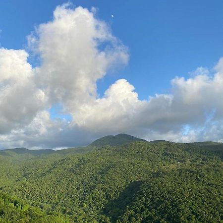 Tranquillite Vert Pointe-Noire Exteriér fotografie